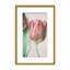 Nature Inspired The Spring Lovers by  - Picture Frame Graphic Art on Paper-131292473-131292479-131292484