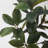 51'' Faux Magnolia Tree Tree in Planter
