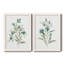 Linen Botanical III - ensemble de 2 reproductions d'art-1345068769-1345068788-1345068770