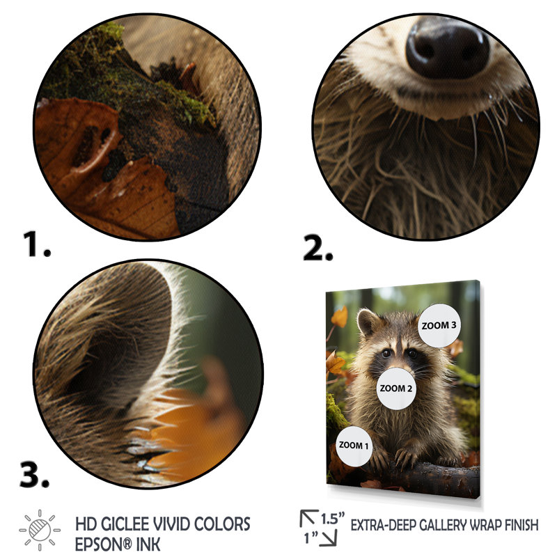 Vibrant Raccoon Portrait III - art mural de raton laveur pour le salon, H 40 po x l 30 po x P 1,5 po, Encadrement doré