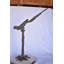 Statue en bronze Suri perroquet sur un arbre regardant vers le bas - Taille: L 37 po x l 15 po x H 47 po.
