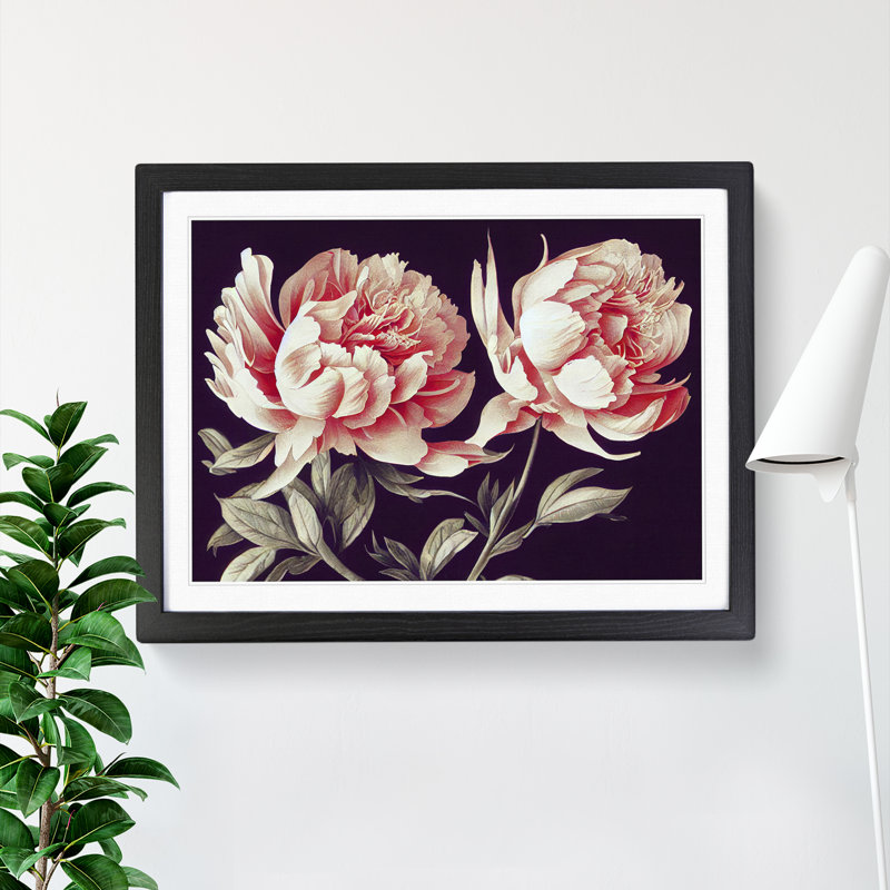 Flawless Peony Flowers - Single Picture Frame Print, 46cm H x 64cm W x 2cm D, Black