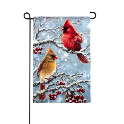 Drapeau de jardin en polyester à 2 côtés Choute 18 x 13 po