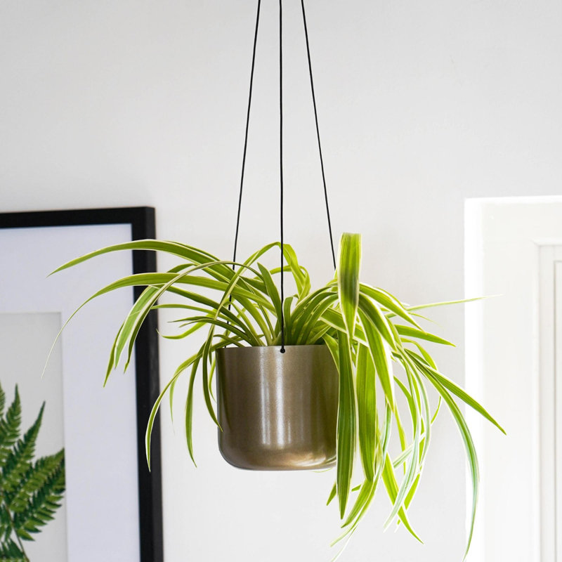 Kew Hanging Planter with Hook, 15.5 cm H x 17 cm W x 17 cm D, Copper