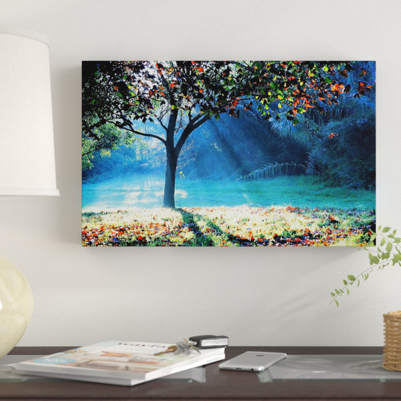 « rayons of espère », reproduction de photo sur toile tendue, H 30 po x l 47 po x P 2 po