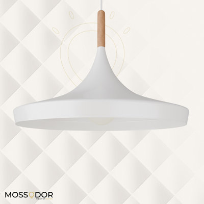 - Light Polished Nickel Dome Pendant