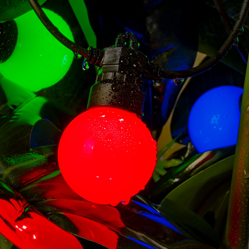 Outdoor 24 - Bulb 579'' Plug-in Globe String Light