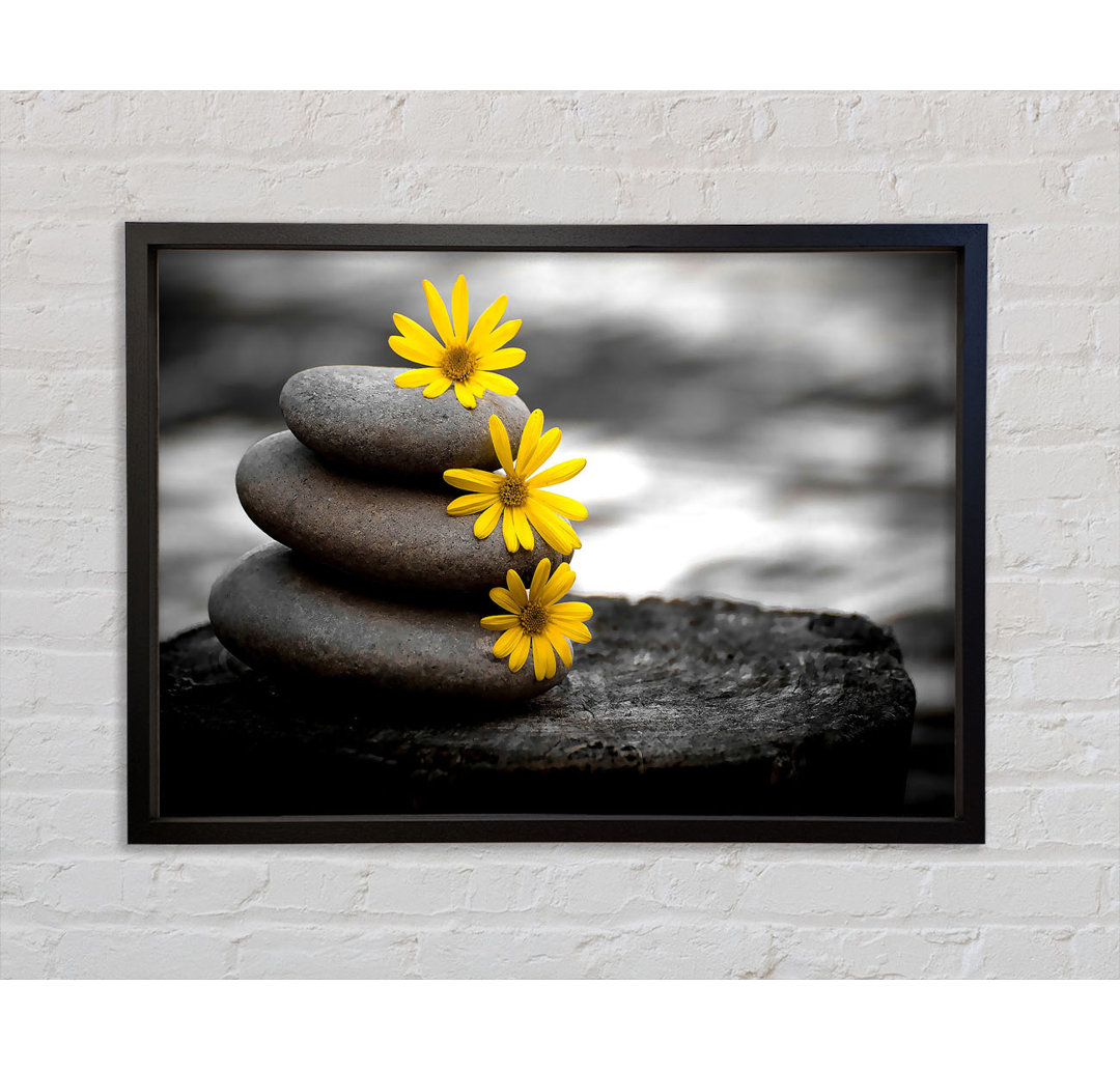 Zen Flowered Stones - Einzelner Bilderrahmen Kunstdrucke auf Leinwand