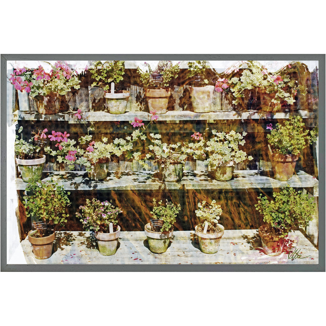 Single Picture Frame Print