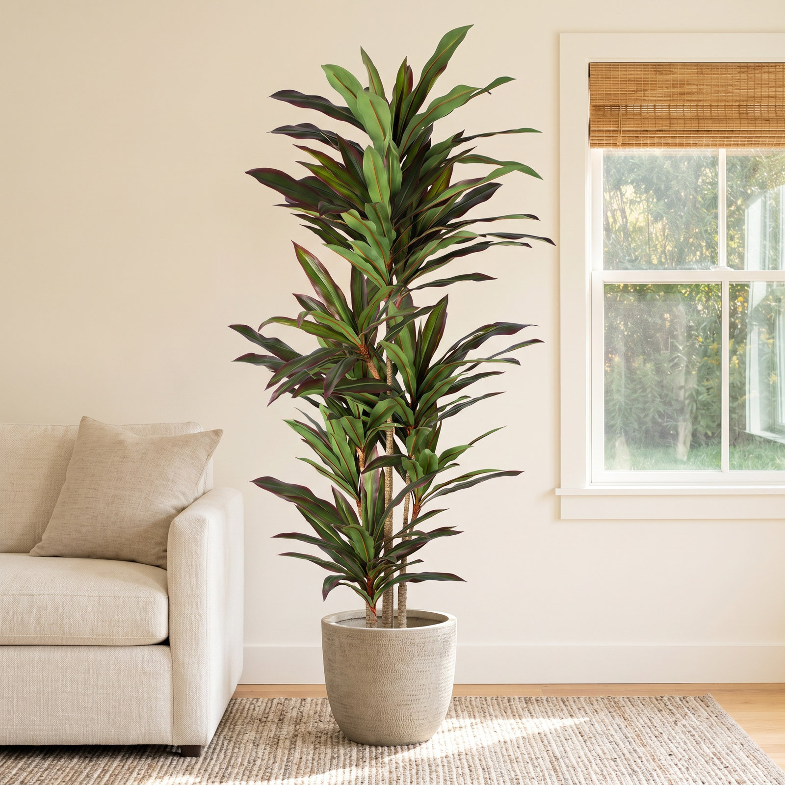 Marazi Dracaena Tree in Pot, 70.87
