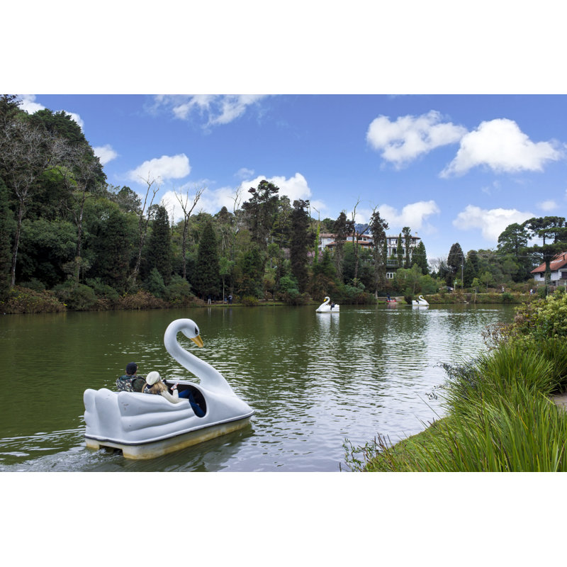Fason Black Lake, Brazil - Wrapped Canvas Print, 30cm H x 46cm W x 3.8cm D