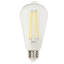 Ampoule DEL à intensité variable 40 W ST19 E26 / moyenne (standard) 3000K