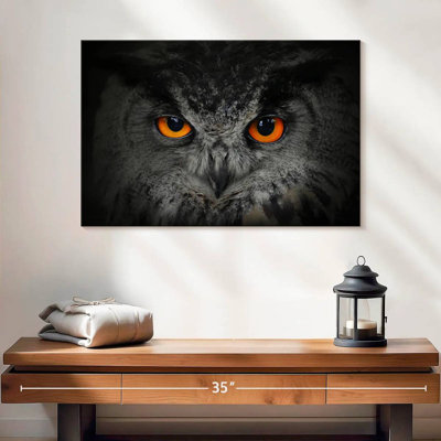 Hibou à gros yeux
