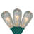 10-Count Clear Transparent Edison Patio Light Set  9Ft Green Wire