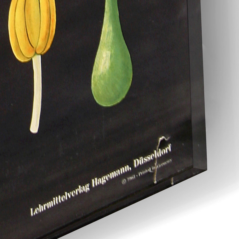 «Eat Veggies» par Vintage Posters, art mural en verre acrylique, H 16 po x l 12 po x P 0,13 po
