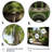 " Cuba Colonial Charm Green "-35796699-35796719