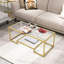 Euramo Frame Coffee Table with Storage