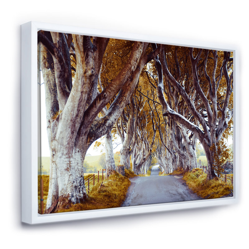 Majestic Tree Alley - reproduction de photo sur toile, H 24 po x l 32 po x P 1 po, Toile avec cadre blanc