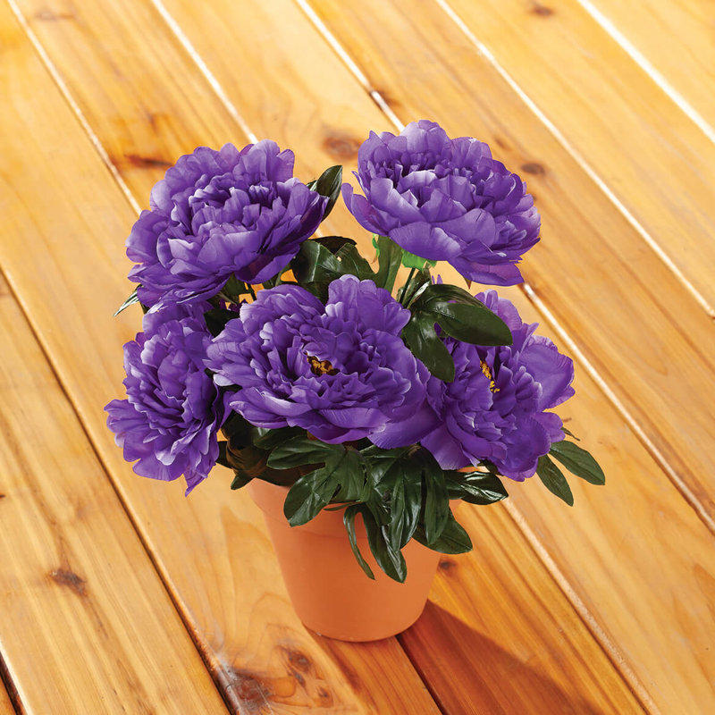 Pivoine artificielle OakRidge, Mauve