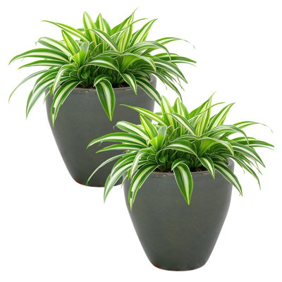 Francine Round Imperial Ceramic Outdoor Planter Set of 2 - Gray - 10"