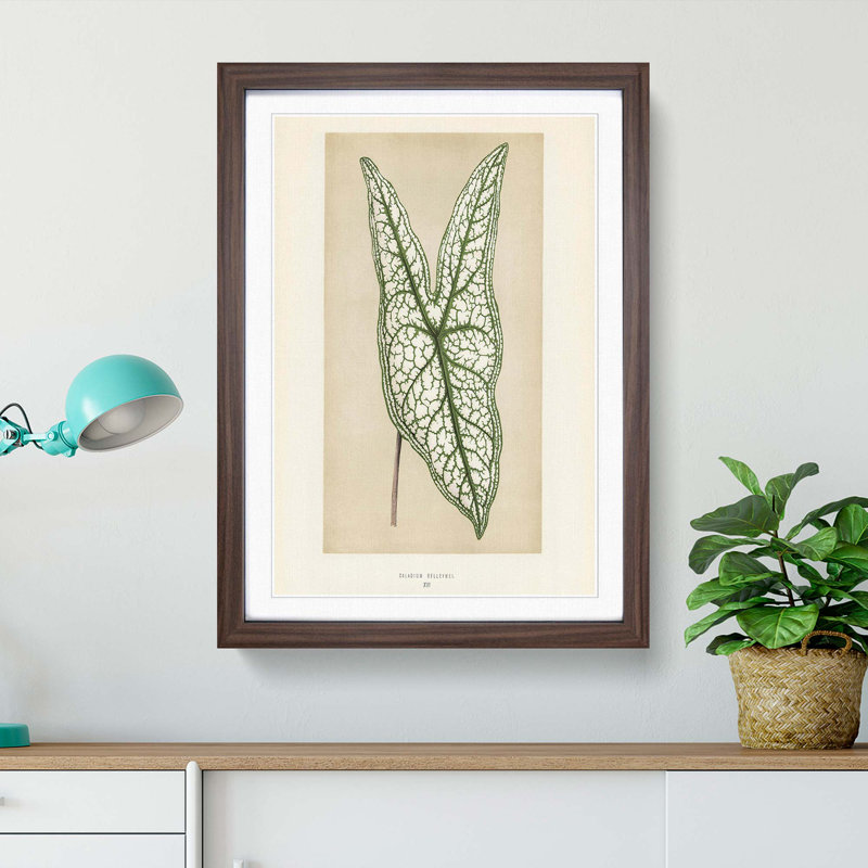 Heart of Jesus Leaf by Benjamin Fawcett - Picture Frame Painting Print, 87cm H x 62cm W x 2cm D, Walnut Framed