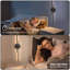 Paquet de 2 appliques murales rechargeables sans fil à DEL avec télécommande, gradation continue et 3 lumières à température de couleur 3000K-6000K pour couloir de chambre à coucher, salon