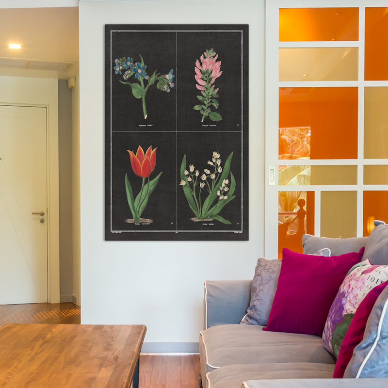 «Botanical Chart III», impression sur toile tendue, H 26 po x l 18 po x P 1,5 po, Toile tendue, Pas de tapis