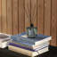 Diffuseur en roseau propre-741540109