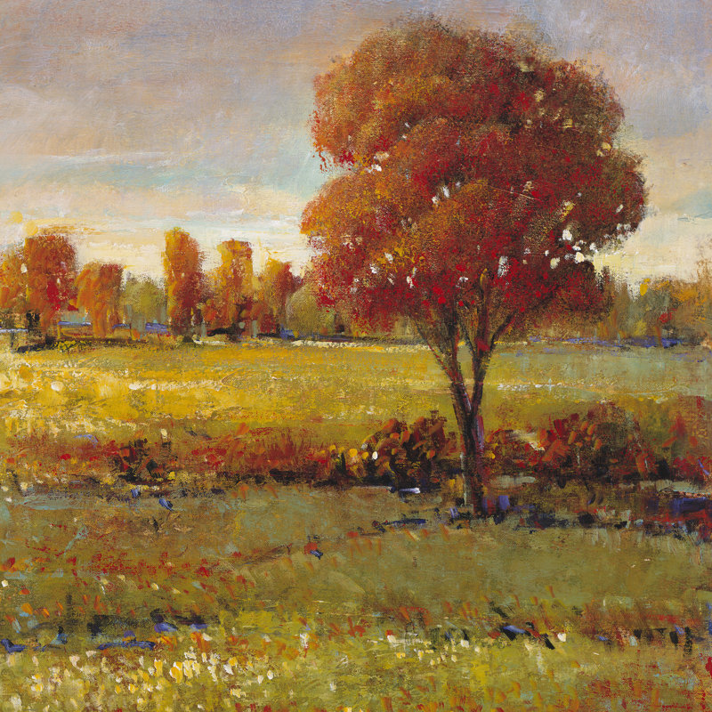 Field In Fall by Tim OToole - Wrapped Canvas Art Prints, 30cm H x 30cm W