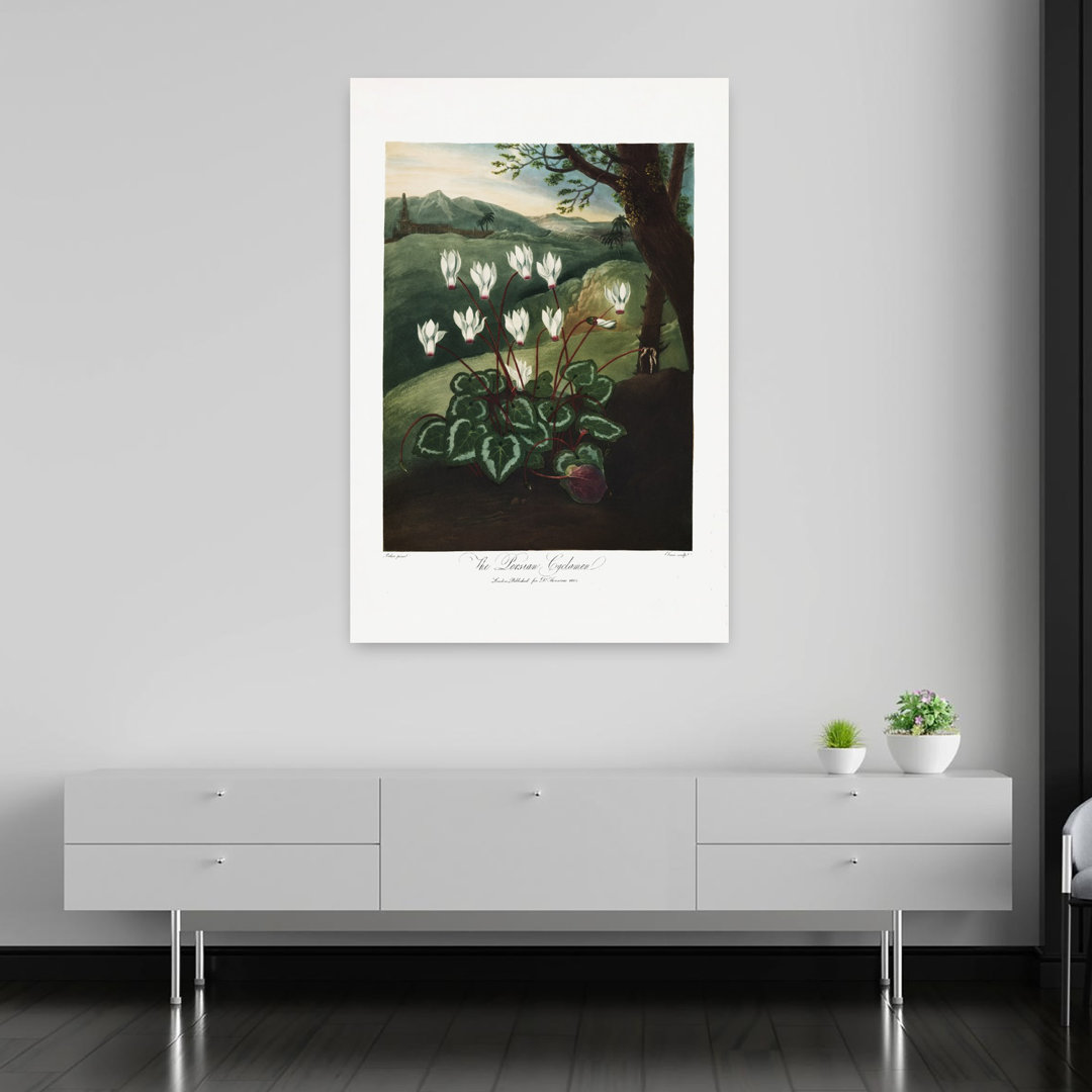 Contemporary Art Colorful Retro Vintage Flower Plant Art