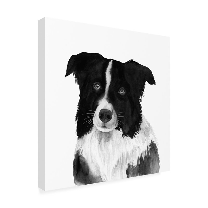 Border collie II par Grace Popp - impression sur toile tendue, H 24 po x l 24 po x P 2 po