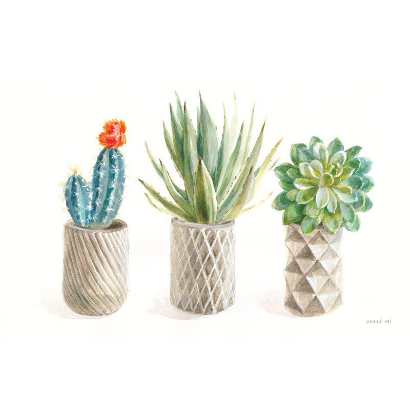 Desert Greenhouse VIII by Danhui Nai - Wrapped Canvas Painting, 30cm H x 46cm W x 3.8cm D