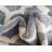 Molly Power Loom Dark Gray/Ivory Rug-977463198