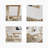 Fiorelli-2127022403