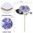 Laidley Hydrangea Arrangement-1269178872