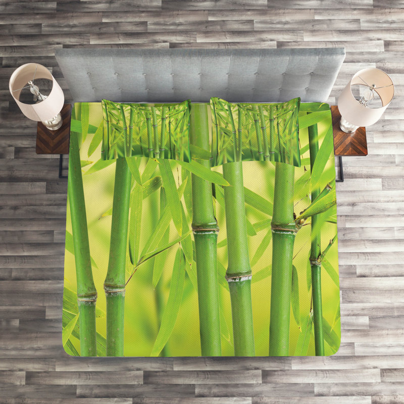 Eclectic Polyester Coverlet, King Bedspread + 2 Shams