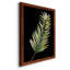 Frond II - reproduction de cadre photo sur papier-727950064-727950066