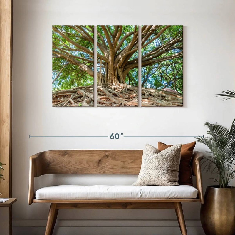Parc Harnek Banyan Tree, H 28 po x l 45 po