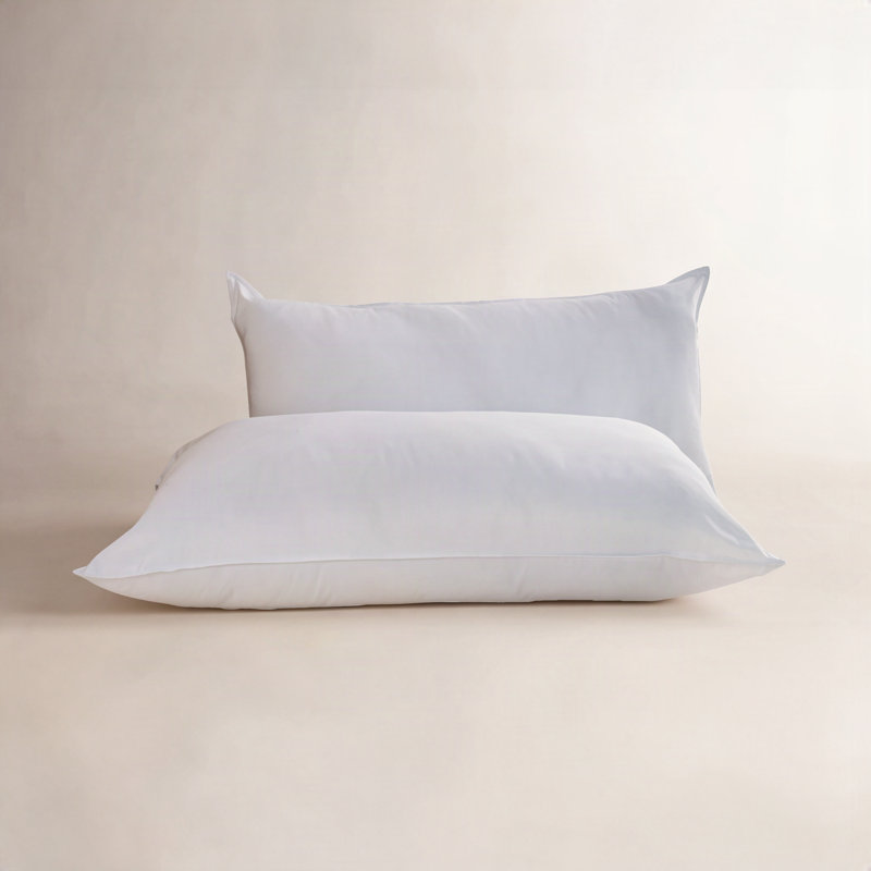 Oreiller de soutien ferme, Grand / oreiller standard: 20 po x 30 po, Plush
