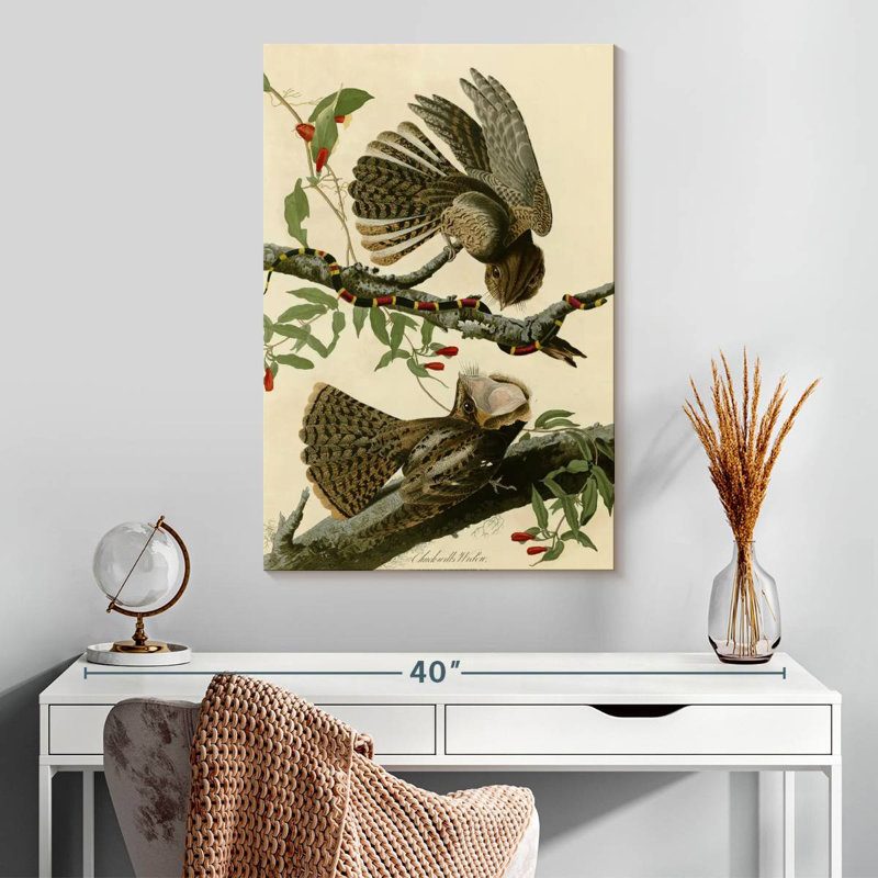 Brampt Chuck-Will's Widow, 30" H x 20" W
