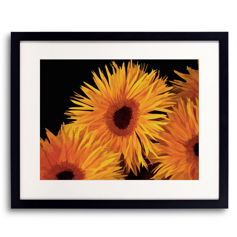 " Gerberas " by Tom Kostes