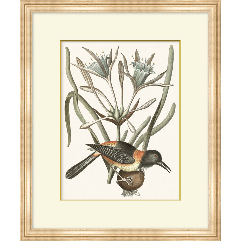 Summer Bird 7 Print