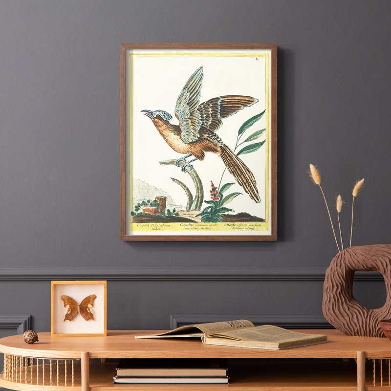 «Pastel Birds IV», reproduction encadrée - bois massif, Brun, H 10 po x l 8 po