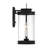 Benioff 2-Light Outdoor Wall Lantern-976648396
