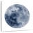 Oberle Celestial Blue Moon-109202807