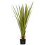 Artificial plants agave succulent in pot