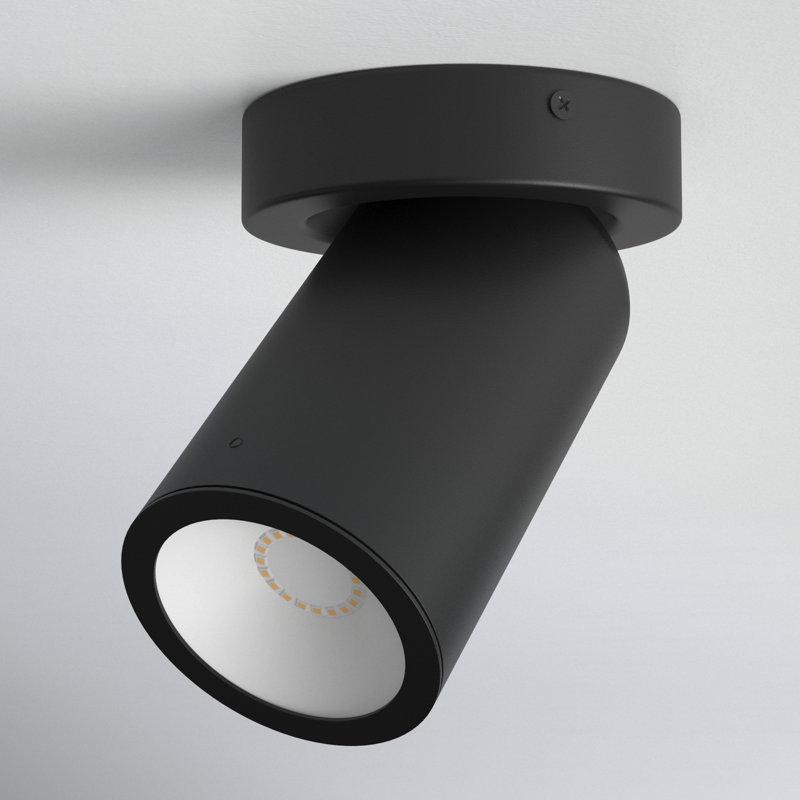 Arimentha Aluminum LED Flush Mount, Black