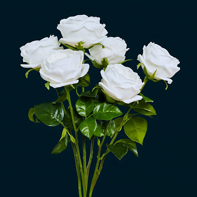 Rose Arrangement, White