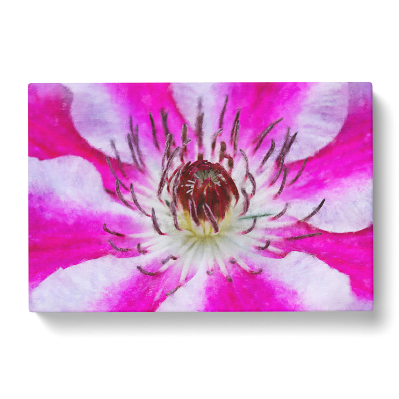 Pink Clematis Flower - Wrapped Canvas, 35cm H x 50cm W x 3cm D