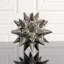 Urchin Shiny Silver Object-1635266304